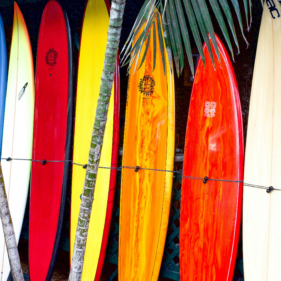 SURF PRINT ASSETS_Img 8